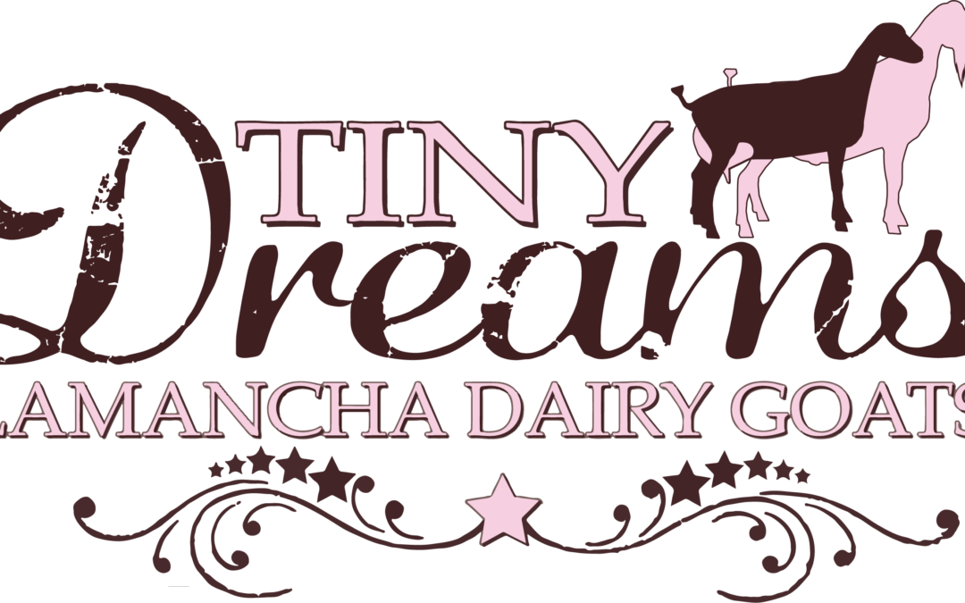 Tiny Dreams Farm