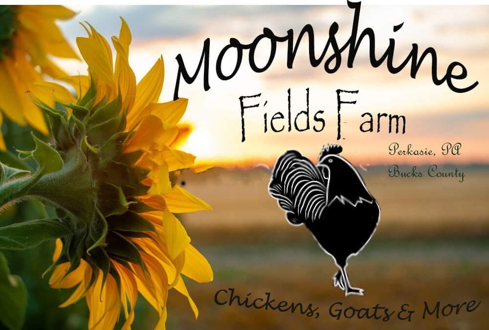 Moonshine Fields Farm