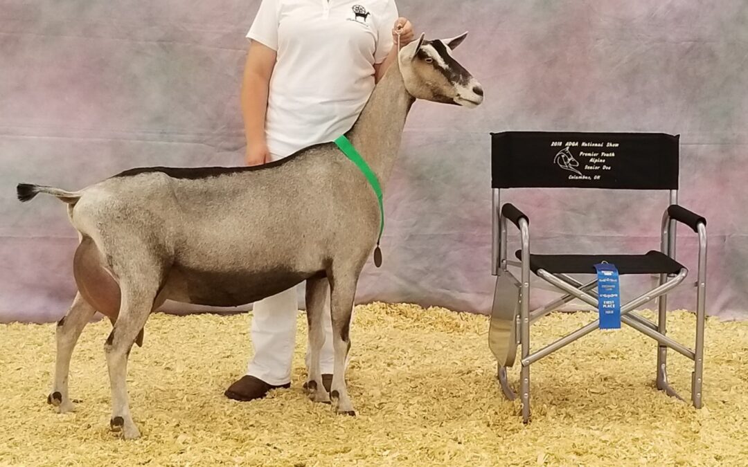 Rosewinds Dairy Goats