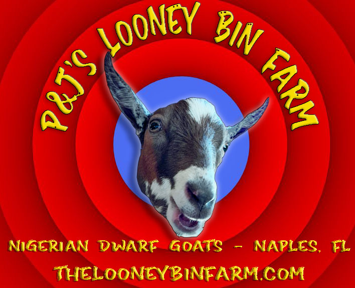 P&J’s Looney Bin Farm